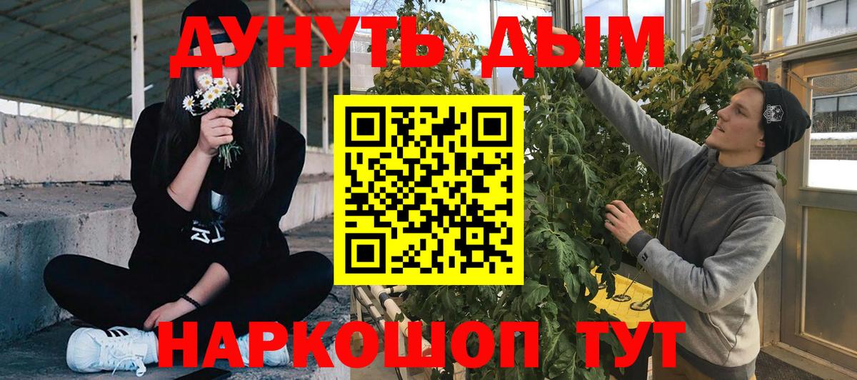 Бошки Шишки гибрид  Шишки марихуана семена  МАРИХУАНА VHQ  Вход с VPN  Кудрово 